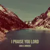 AWELE ONWUKA - I Praise You Lord - Single